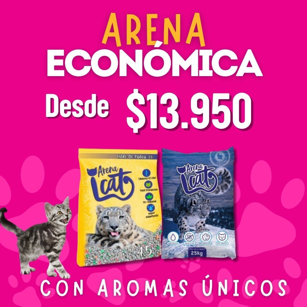 Banner arena económica