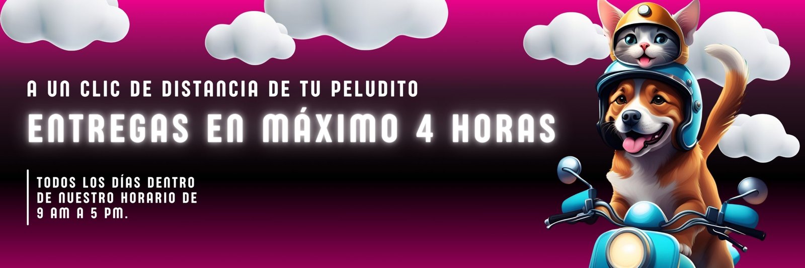 banner entrega pedidos