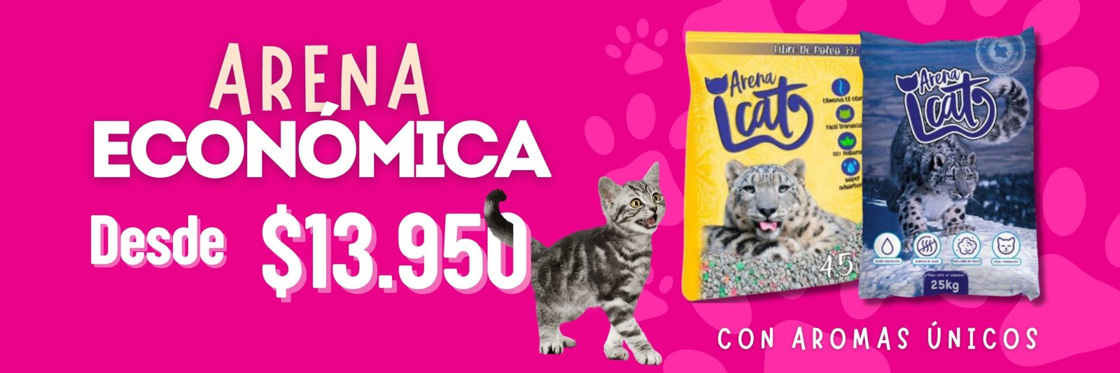 banner arena económica